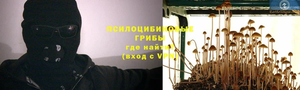 спиды Алексеевка