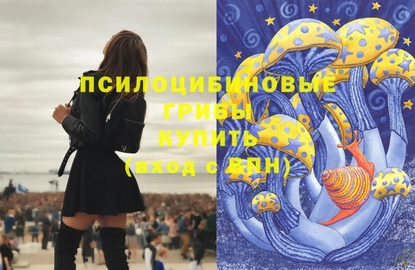 спиды Алексеевка
