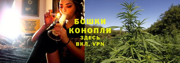 трава Алзамай